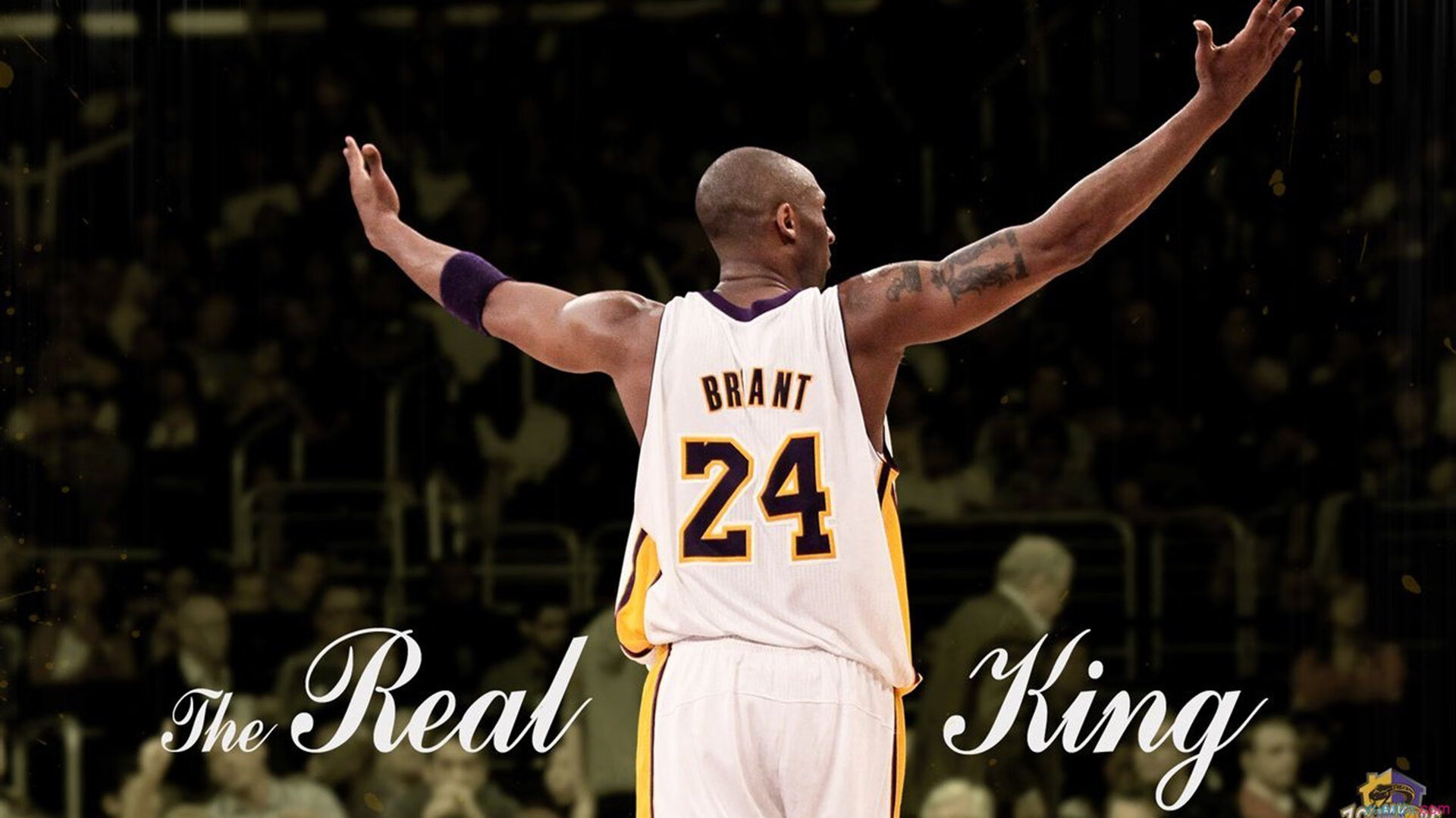 九游网页版官网入口-未来五年青少年篮球人才培养规划逐步落实，发展潜力巨大，青少年篮球培训现状