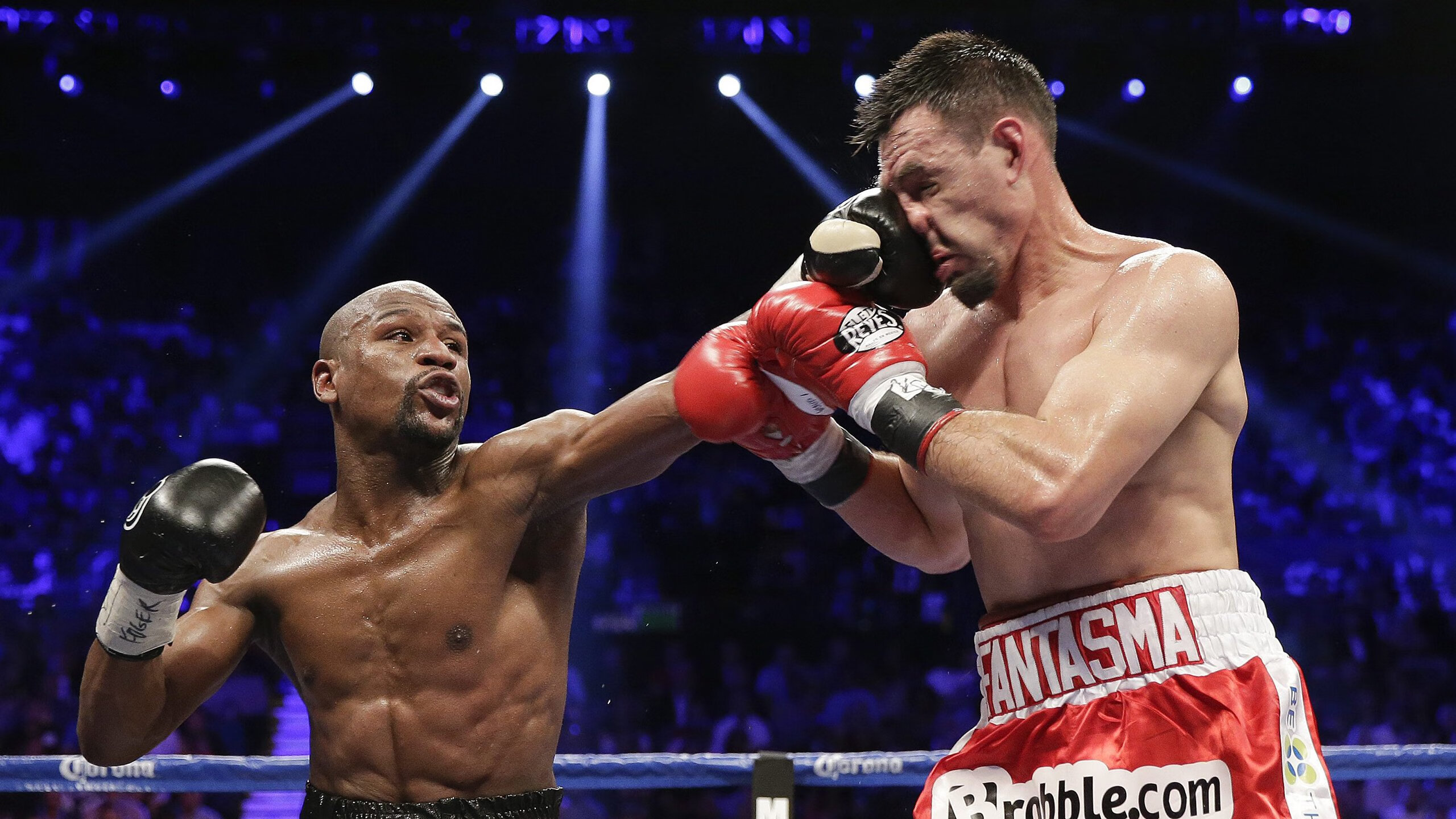 观众热情高涨：现场投票选出人气明星，明星人气榜投票通道